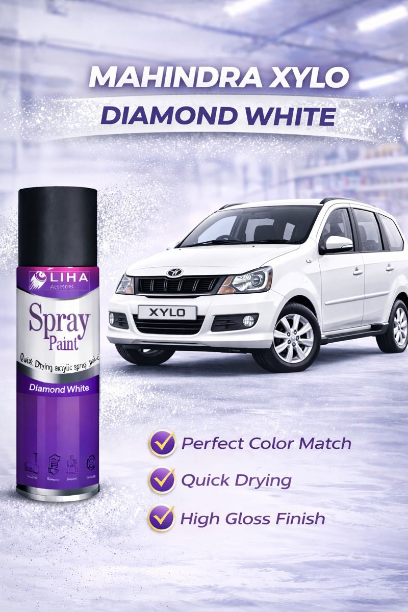 Mahindra Xylo Car Spray Paint